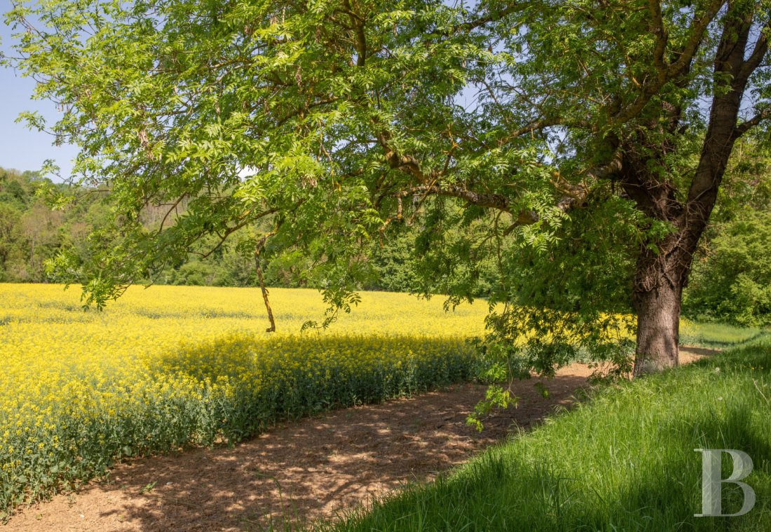 A completely renovated former mill halfway between Mantes-la-Jolie and Dreux in the Eure-et-Loire department - photo  n°42